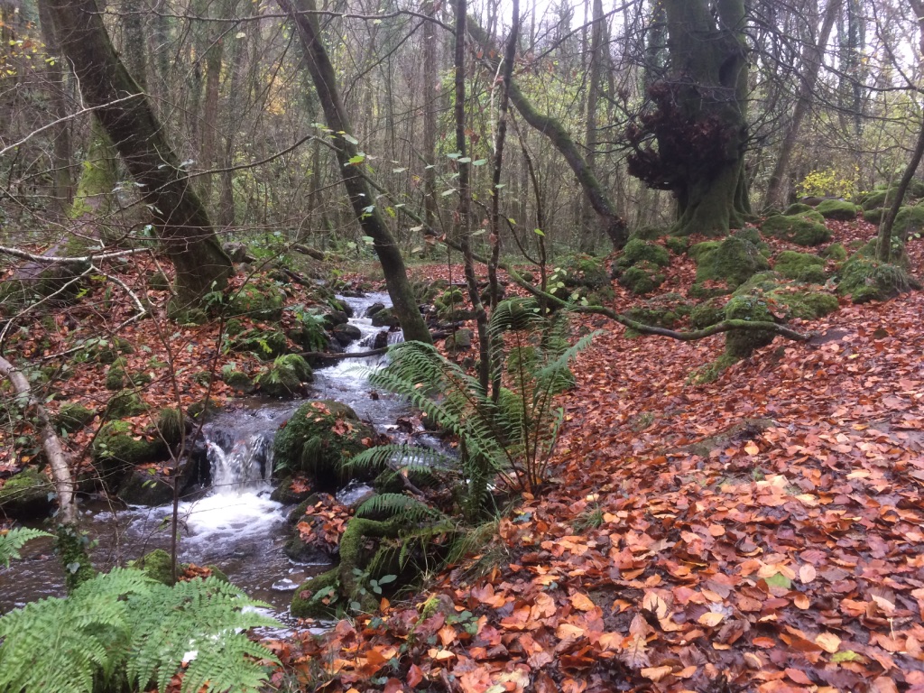 UNADJUSTEDNONRAW_thumb_6d10